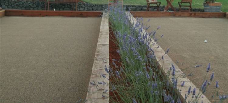 C.H. Bailey 之家(C.H. Bailey House)图片