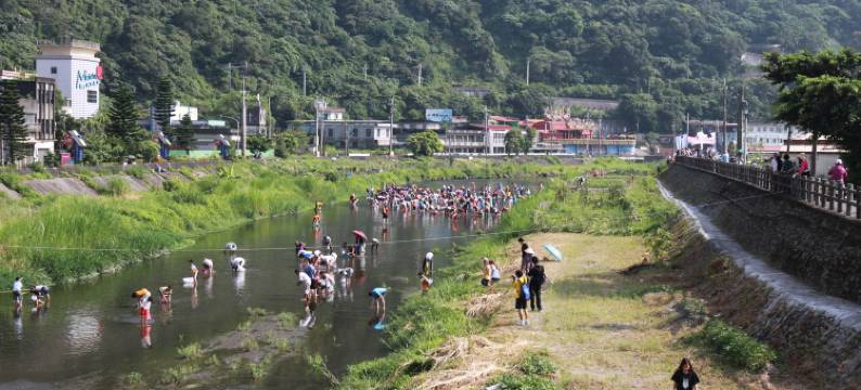 宜兰水鸟印象图片