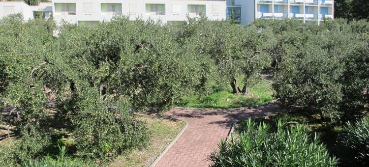 阳光马卡尔斯卡瓦拉玛尔(Sunny Makarska by Valamar)图片