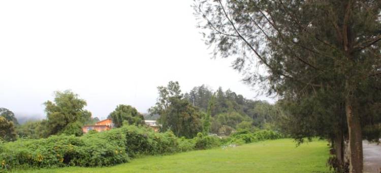 贝拉斯塔基高地别墅(Villa Berastagi Highland)图片