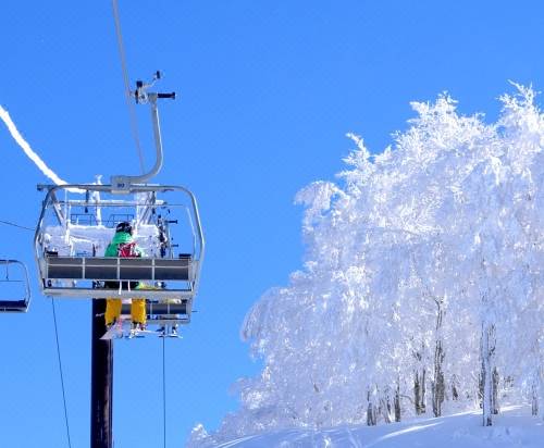 勝山市 ホテルハーヴェスト スキージャム勝山の口コミ 宿泊予約 Trip Com