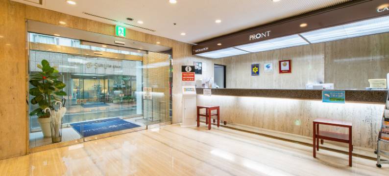 新宿新丽酒店(Hotel Sunlite Shinjuku)图片