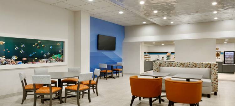 威廉斯堡布希花园地区酒店(Holiday Inn Express Williamsbrg Busch Gardens Area)图片