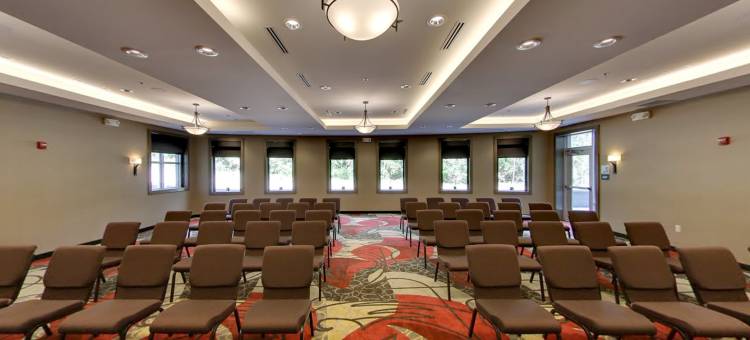 普利茅斯安娜堡区智选假日套房酒店(Holiday Inn Express & Suites Plymouth - Ann Arbor Area)图片