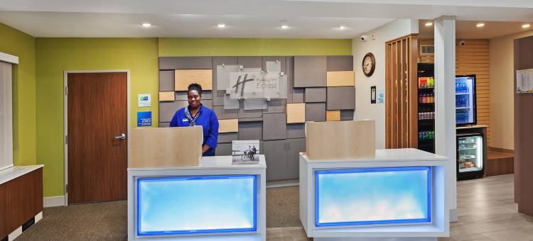 智选假日套房酒店达拉斯路易斯维尔(Holiday Inn Express & Suites Dallas Lewisville)图片