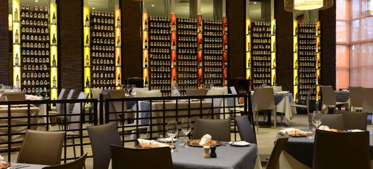 InterContinental Hotels 圣地亚哥(InterContinental Hotels Santiago)图片