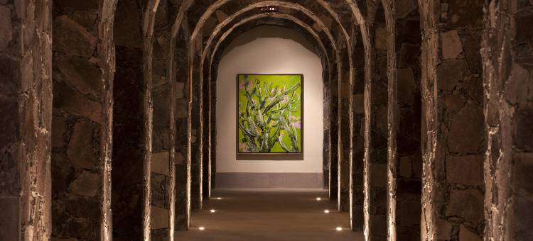 圣米格尔-德阿连德瑰丽酒店(Rosewood San Miguel de Allende)图片