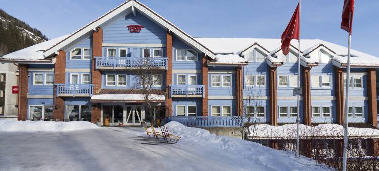 哈灵代尔松恩酒店(Thon Hotel Hallingdal)图片