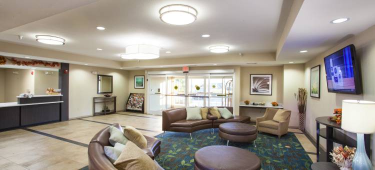 Candlewood Suites 纽布朗费尔斯(Candlewood Suites New Braunfels)图片