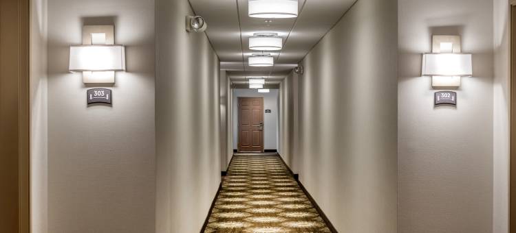 Staybridge Suites 尚迪利- 杜勒斯机场(Staybridge Suites Chantilly Dulles Airport)图片