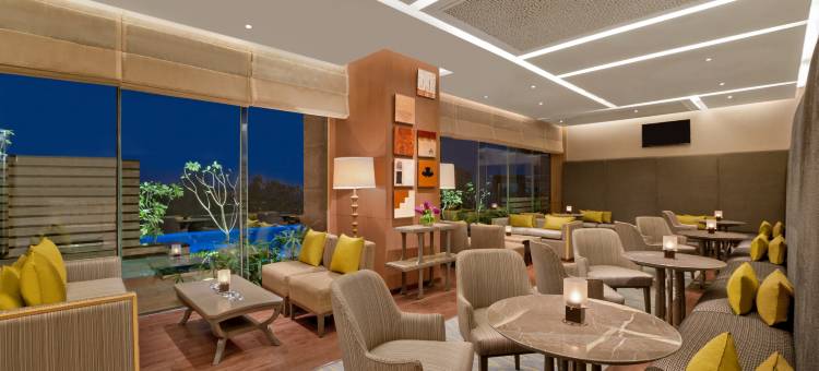 新德里利拉格调会议酒店(The Leela Ambience Convention Hotel Delhi)图片