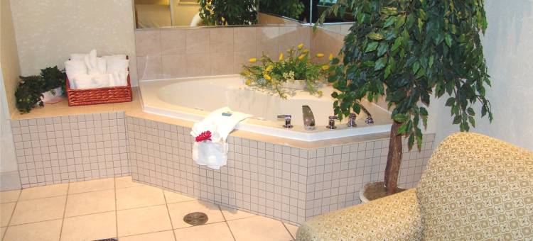 多伦多行政贝斯特韦斯特优质酒店(Best Western Plus Executive Inn)图片