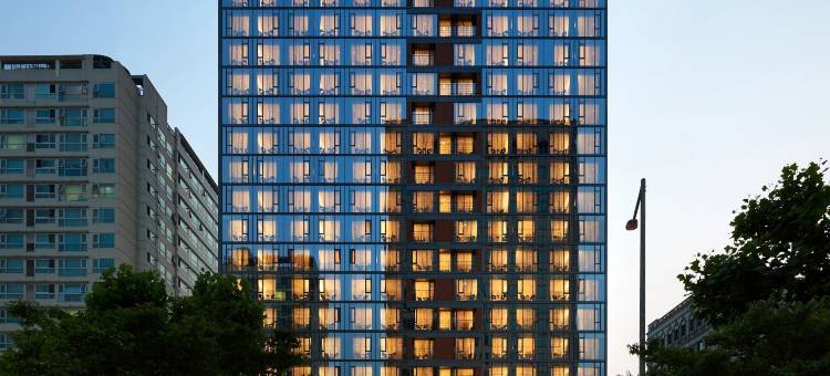 江南佩托酒店(Hotel Peyto Gangnam)图片