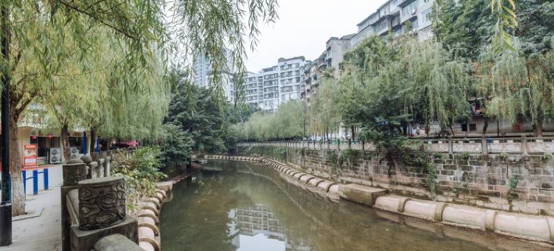 安岳柠都大酒店图片