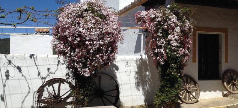 多罗蒂亚果园农庄酒店(Cortijo Huerta Dorotea)图片