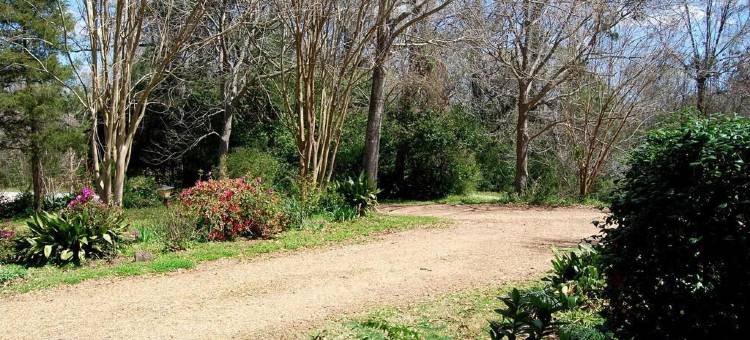 格伦菲尔德种植园历史战前住宿加早餐旅馆(Glenfield Plantation Historic Antebellum Bed and Breakfast)图片