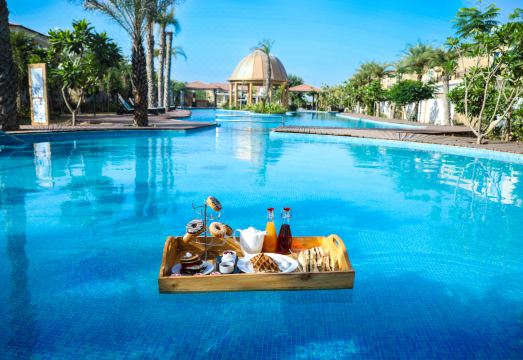 The Westin Pushkar Resort & Spa Hotel Overview