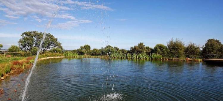 乡村庄园 Vale do Asno(阿斯诺河谷)(Casa de Campo Vale do Asno)图片