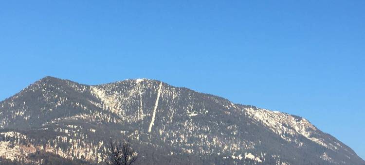 加尔尼阿尔彭古拉斯酒店(Hotel Garni Alpengruss)图片