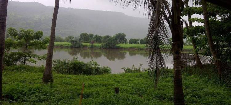 克里希纳酒店(Hotel Krishna)图片