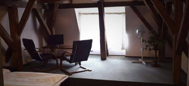 塞勒林酒店(Hotel Celerin)图片