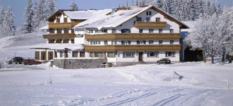 罗温 - 阿尔高家庭酒店(Familienhotel Löwen)图片