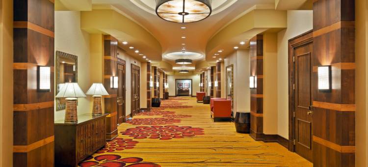 帕克梅多斯南丹佛万豪酒店(Denver Marriott South at Park Meadows)图片