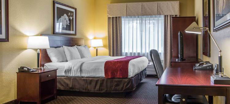 梅森舒适套房酒店-近国王岛(Comfort Suites Mason Near Kings Island)图片