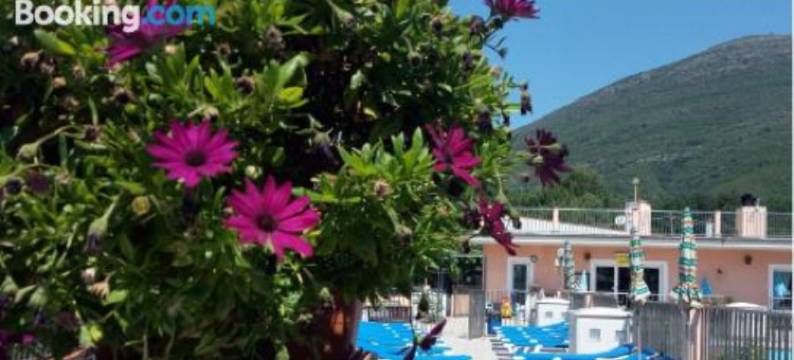 皮纳塔假日公园(La Pineta)图片