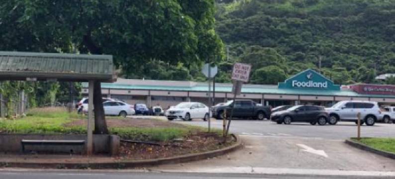 Beach Studio by Shark's Cove图片