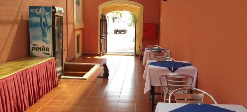 安提克里德凡酒店(Antik Ridvan Hotel)图片