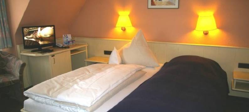 特鲁能巴特尔酒店(Zum Treuen Bartel)图片