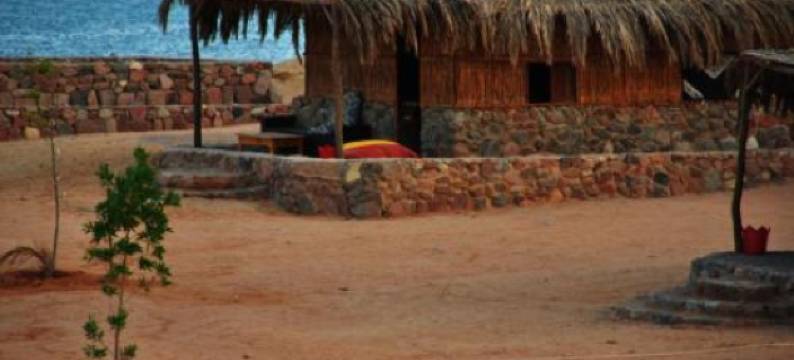 New Moon Island Camp图片