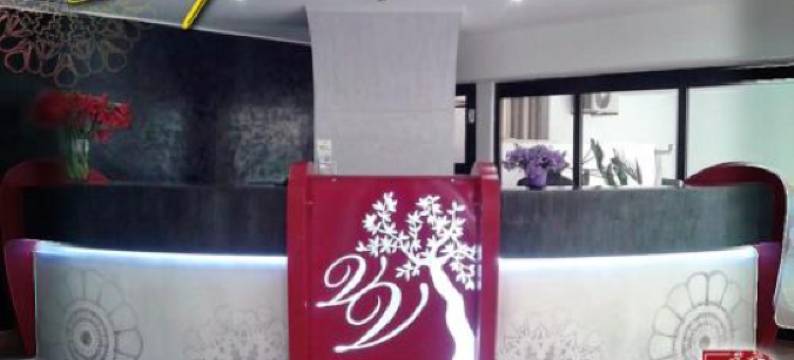 维迪安纳别墅(Villa Verdiana)图片