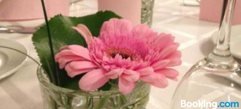 斯坦日酒店(Sentrum Hotel)图片