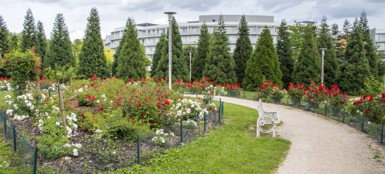巴黎戴高乐机场凯瑞华酒店(Clarion Paris CDG Airport)图片