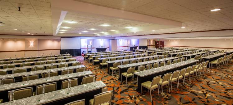 Holiday Inn 旧金山金色大道假日酒店(Holiday Inn San Francisco-Golden Gateway)图片