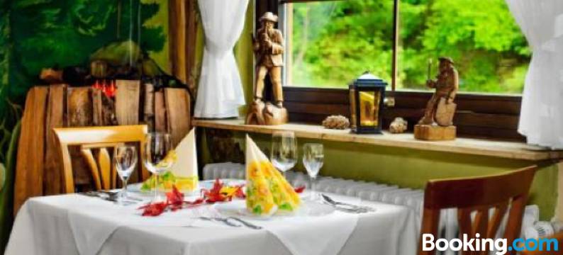 豪兹舒赫舒瓦尔德酒店(Holzschuhs Schwarzwaldhotel)图片