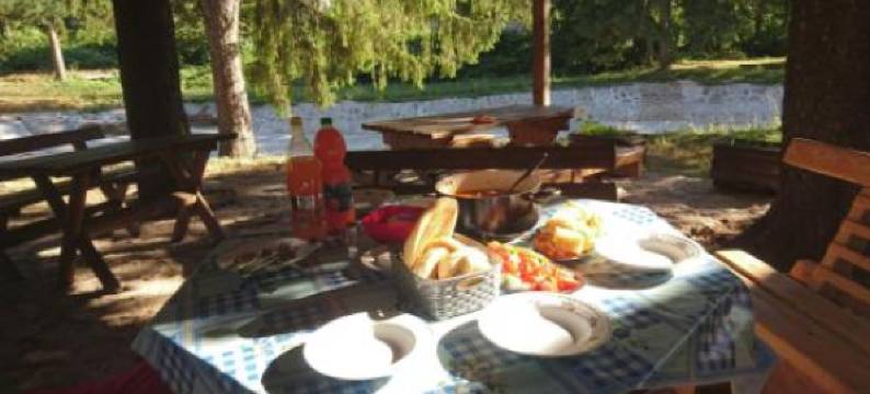 拉多戈斯旅馆(Musical Pansion Radgost, Rtanj)图片