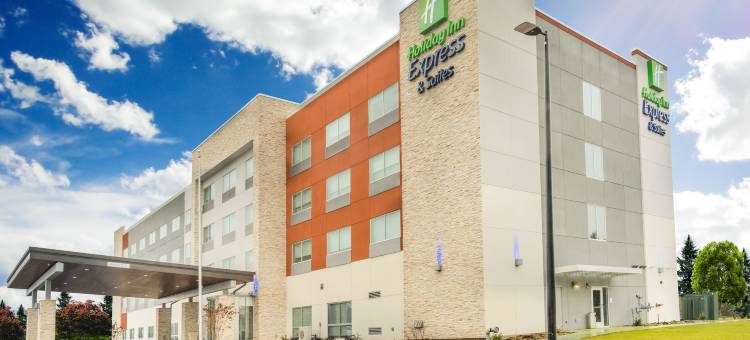 格林维尔西南智选假日套房酒店-辛普森维尔(Holiday Inn Express & Suites Greenville SE - Simpsonville)图片
