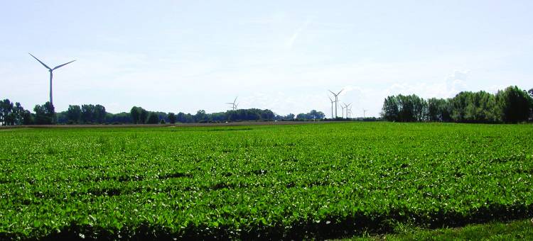 锡姆科舒适酒店(Comfort Inn)图片