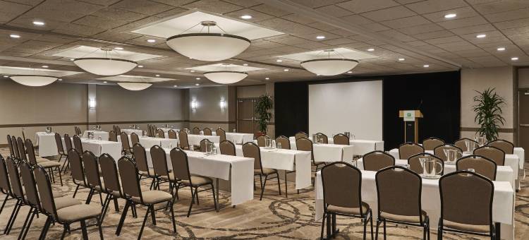亚历山德里亚凯雷假日酒店(Holiday Inn Alexandria - Carlyle)图片
