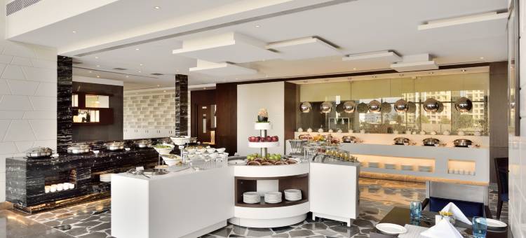 浦那辛吉瓦蒂丽笙酒店(Radisson Blu Pune Hinjawadi)图片