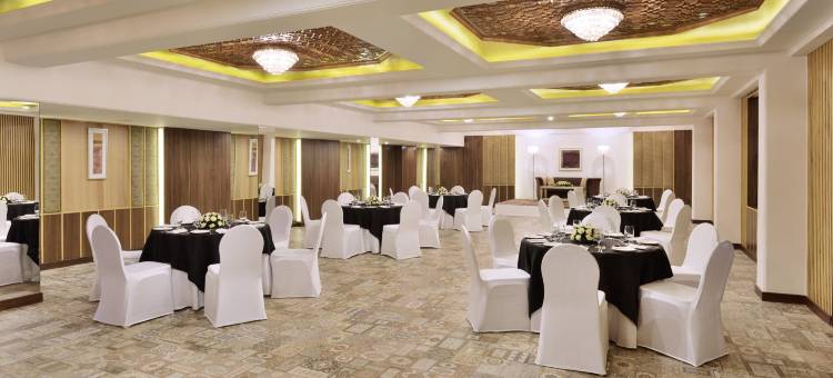 斯里纳格丽筠酒店(Radisson Srinagar)图片