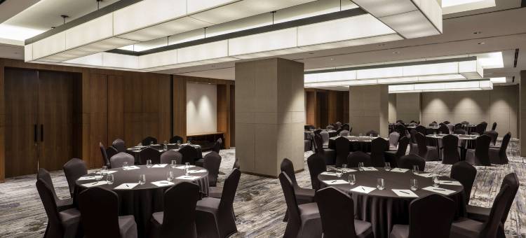 首尔龙山大使诺富特全套房酒店(Novotel Suites Ambassador Seoul Yongsan)图片