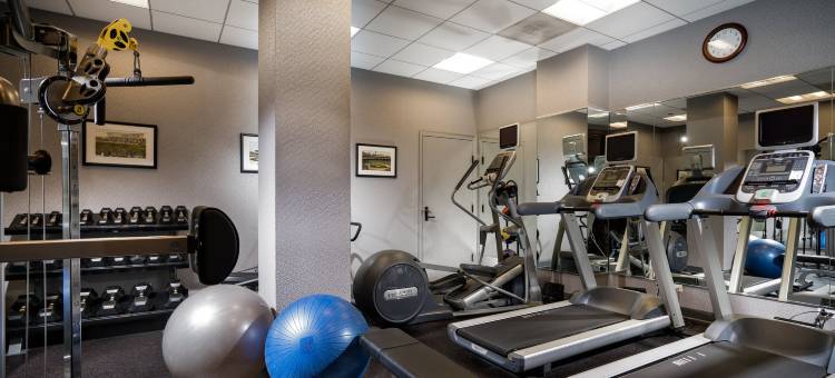 卢普区菠萝住宿标志酒店(Staypineapple, An Iconic Hotel, the Loop Chicago)图片