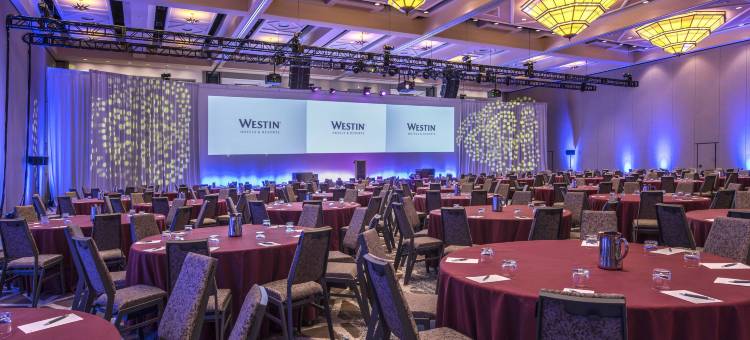 拉斯维加斯威斯汀湖水疗度假村(The Westin Lake Las Vegas Resort & Spa)图片