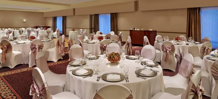 芝加哥埃尔克格罗夫喜来登套房酒店(Sheraton Suites Chicago Elk Grove)图片