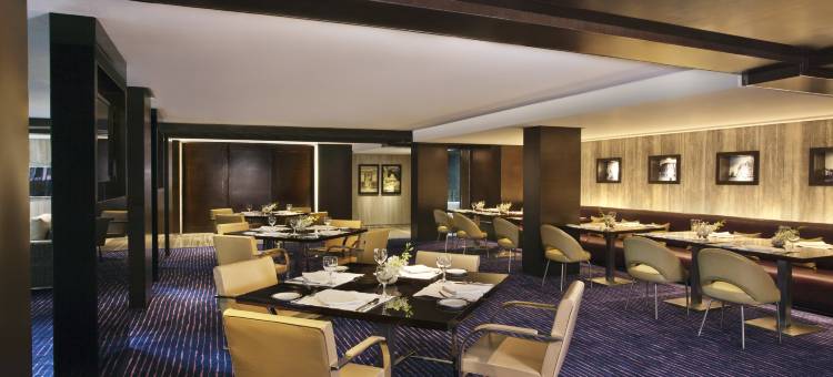 德里机场丽笙世嘉酒店(Radisson Blu Plaza Delhi)图片