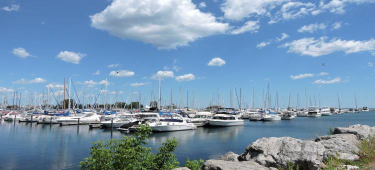 芝加哥沃基根索尼斯塔简单套房酒店(Sonesta Simply Suites Chicago Waukegan)图片